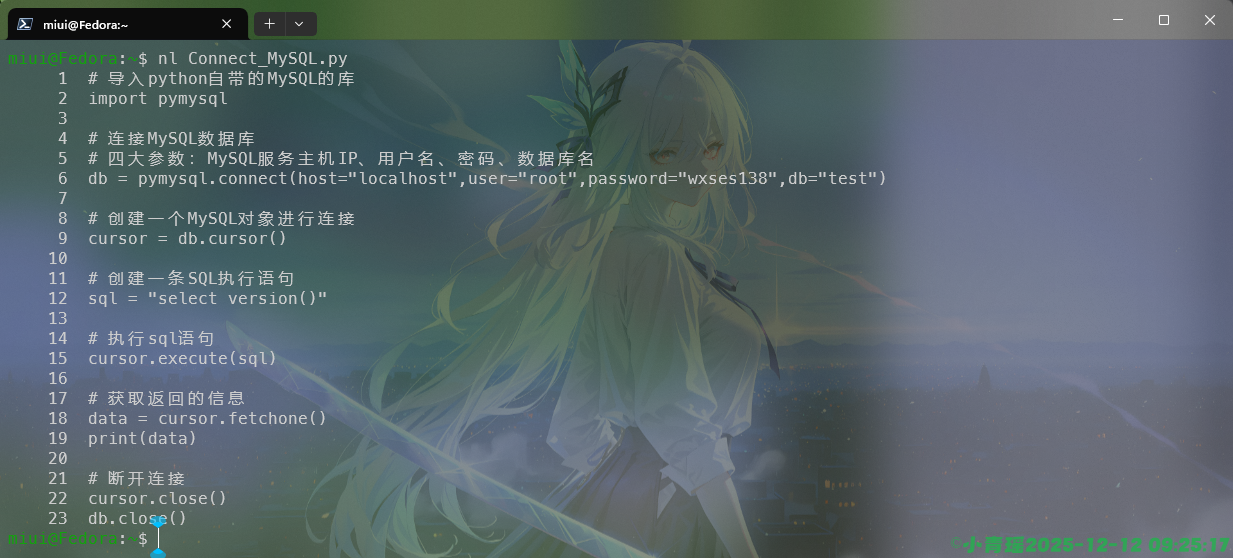 image-20251212092521914