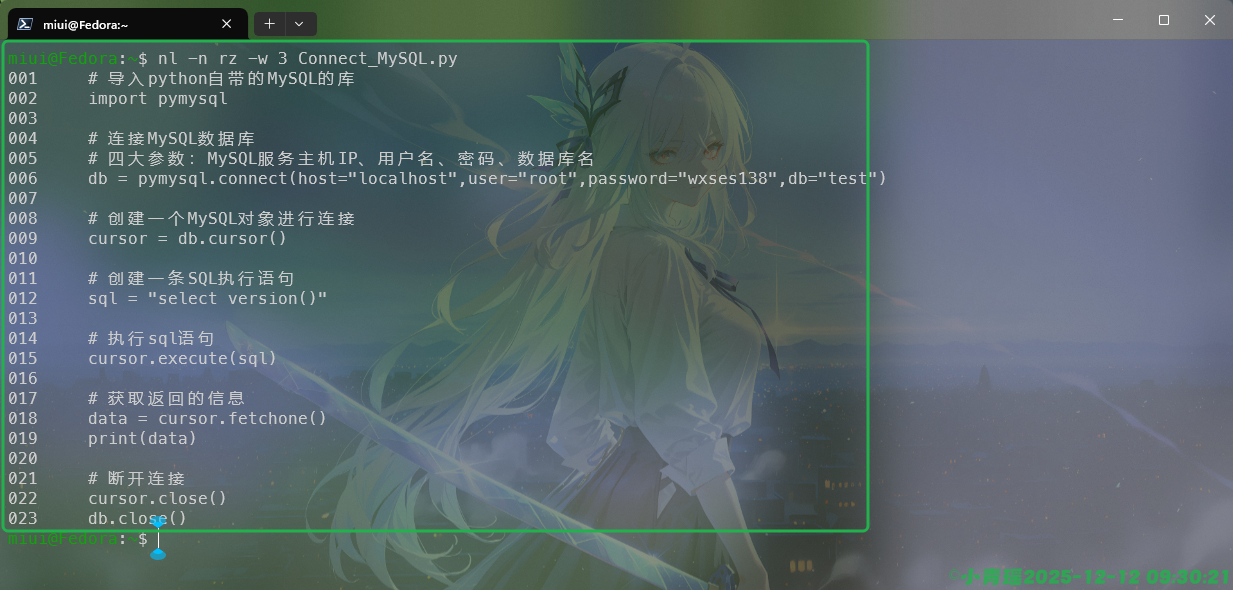 image-20251212093023121