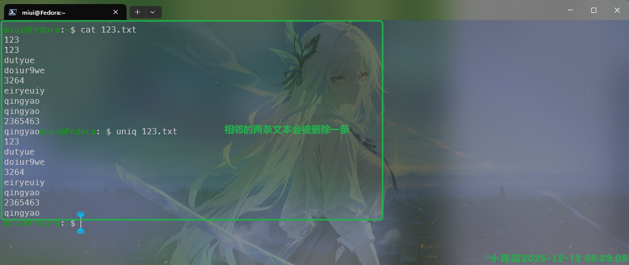 image-20251212093915982