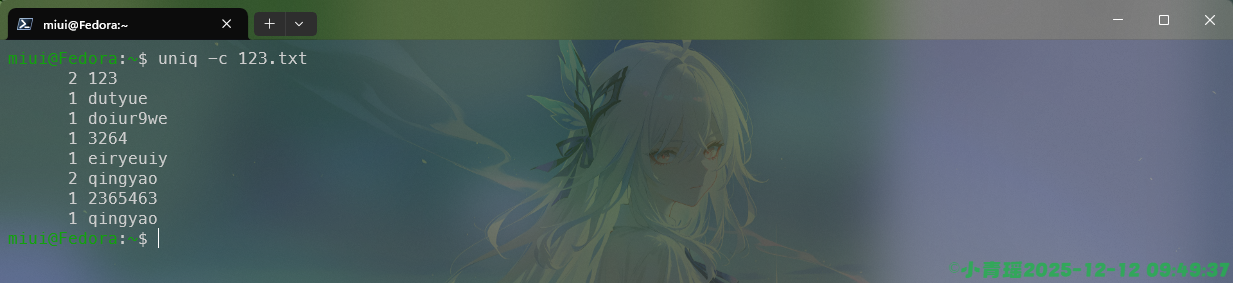 image-20251212095005340