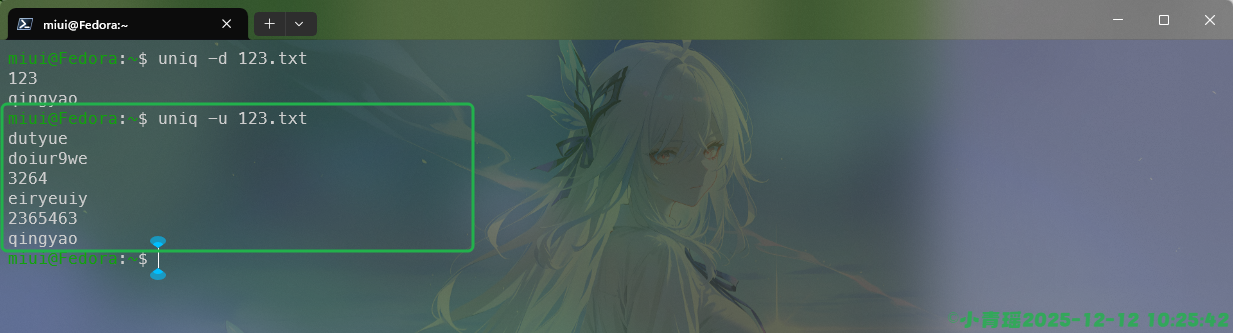 image-20251212102544944