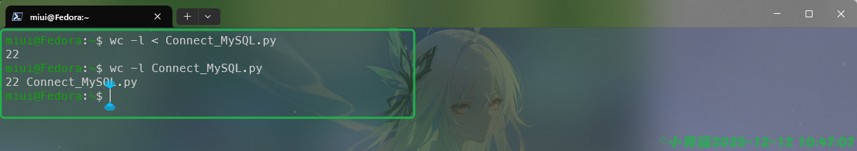 image-20251212104709761