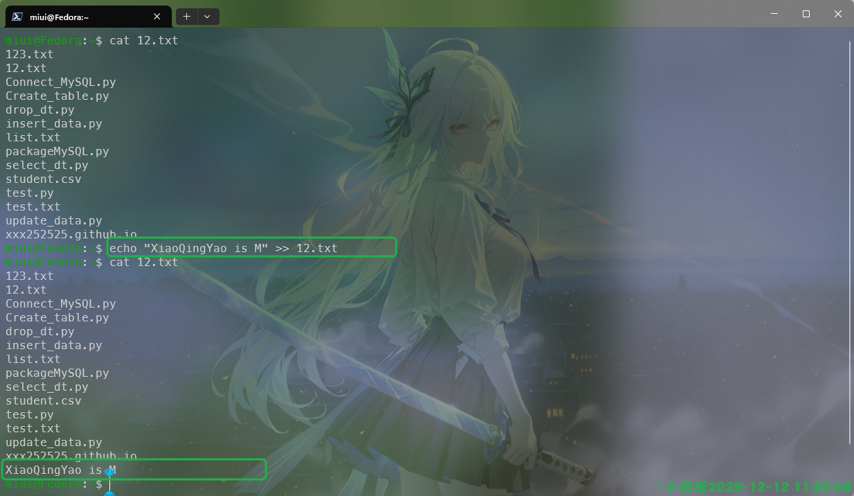 image-20251212112100036