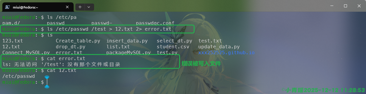 image-20251212112924291