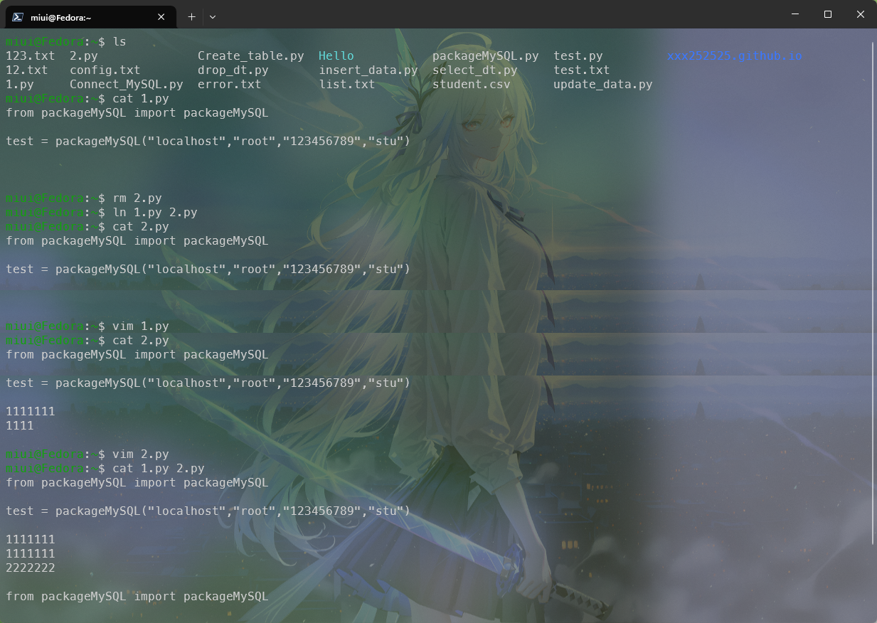 image-20251212162554195