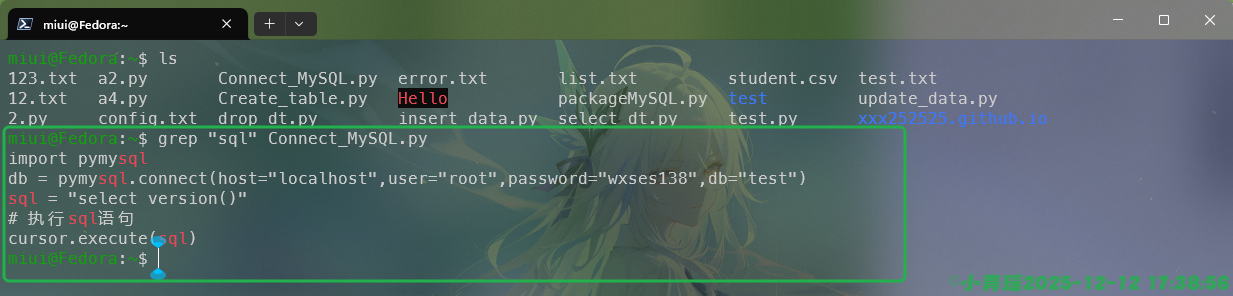 image-20251212173907128