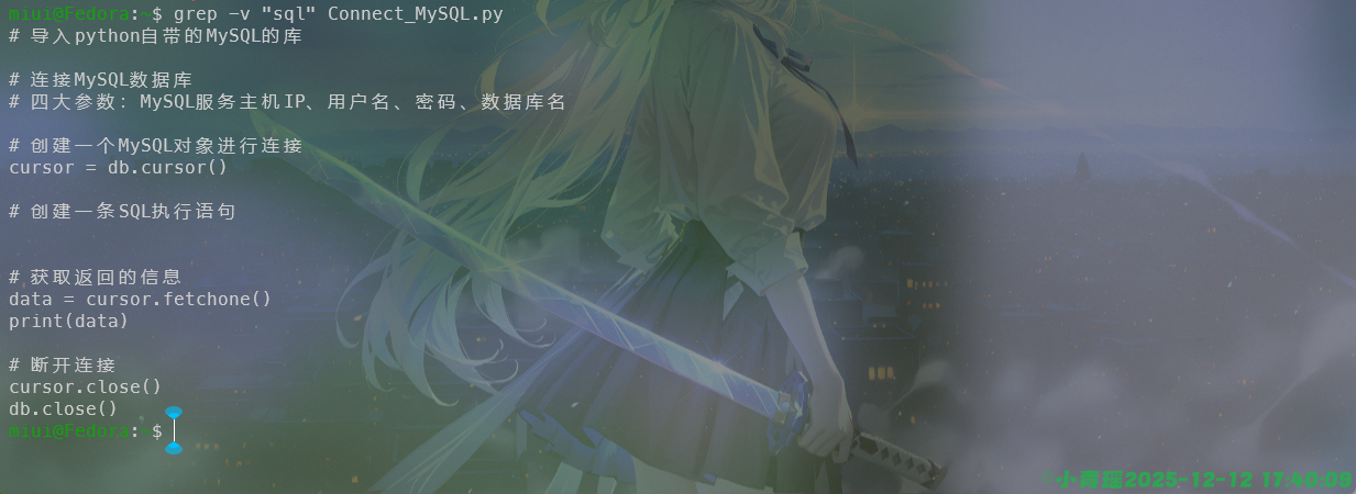 image-20251212174011334