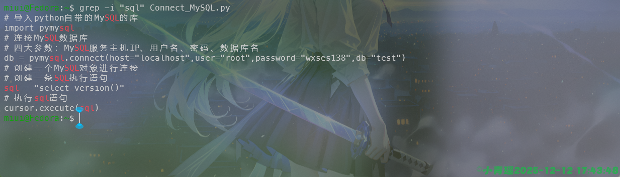 image-20251212174350657