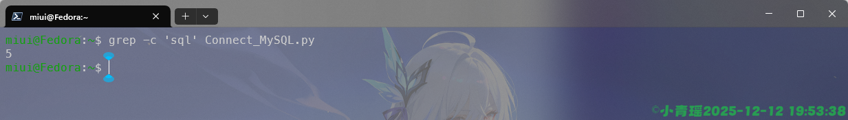 image-20251212195340987