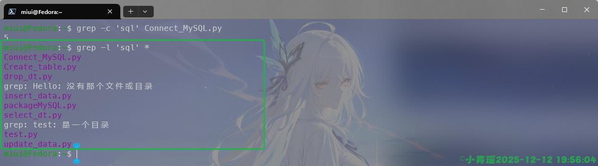 image-20251212195606730