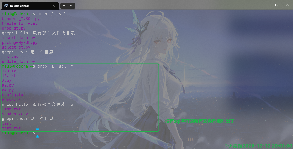 image-20251212200132344