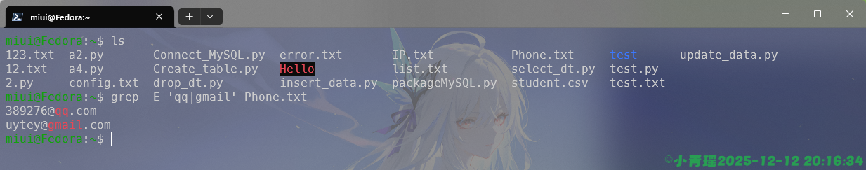 image-20251212201638807