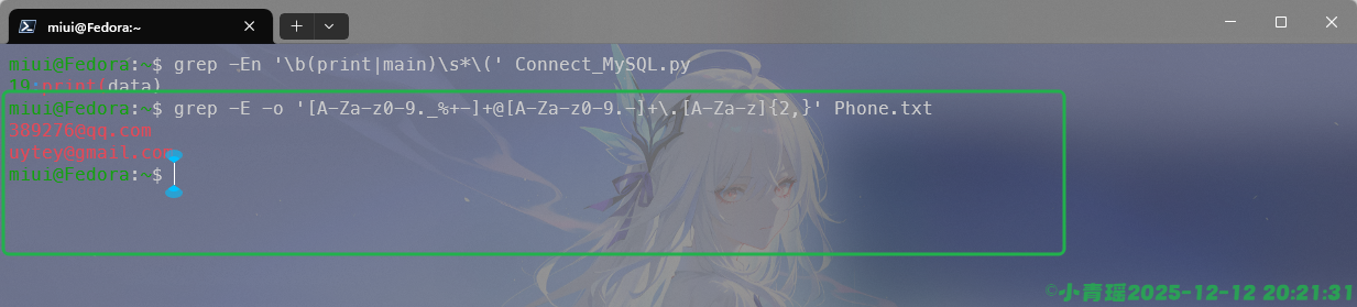 image-20251212202144461