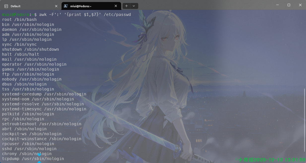 image-20251213133201151