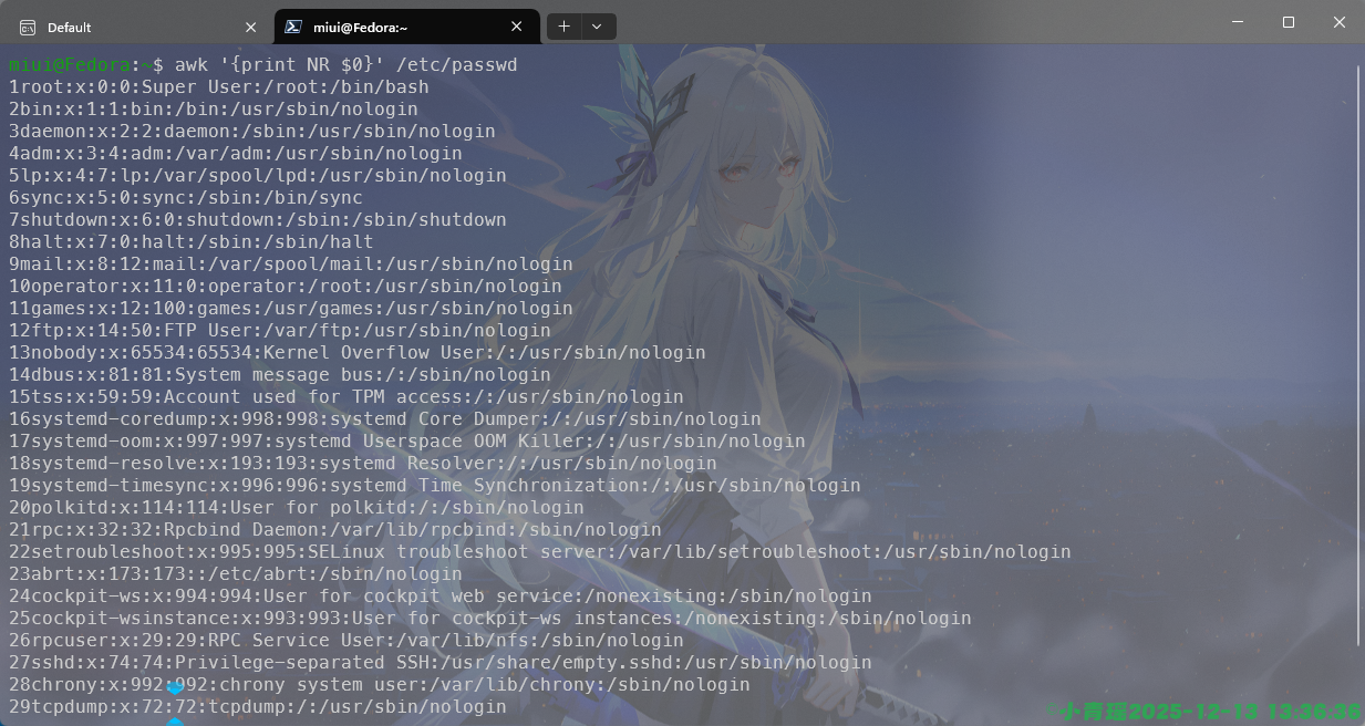 image-20251213133637936