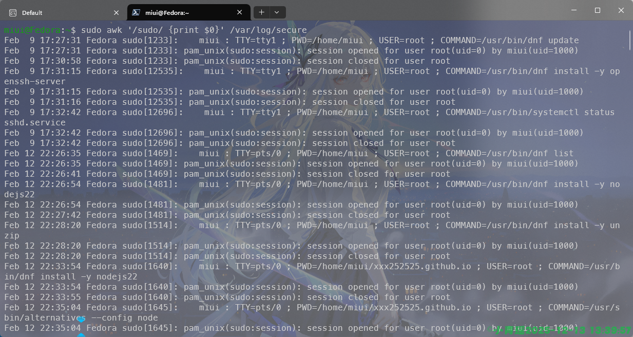 image-20251213134000263