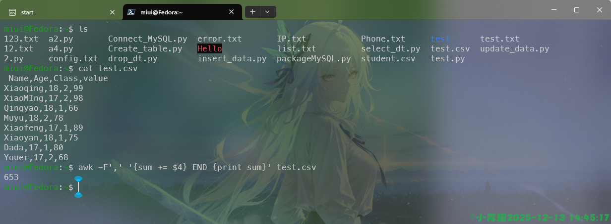 image-20251213144519904