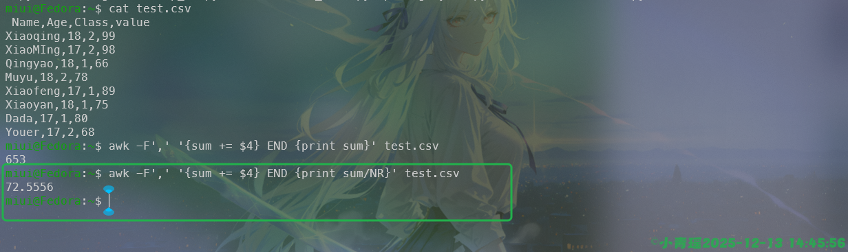 image-20251213144558702