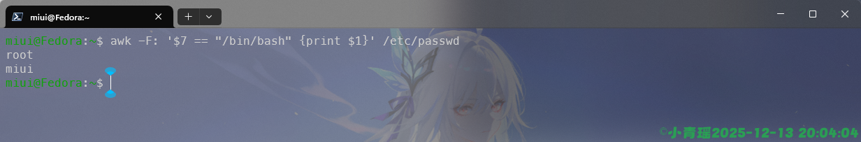 image-20251213200406375