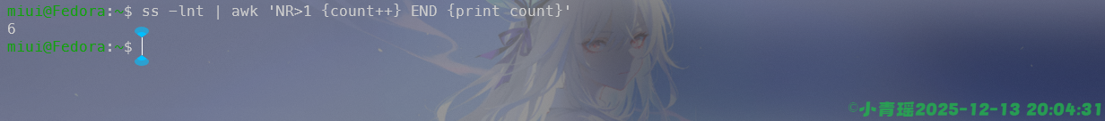 image-20251213200435556