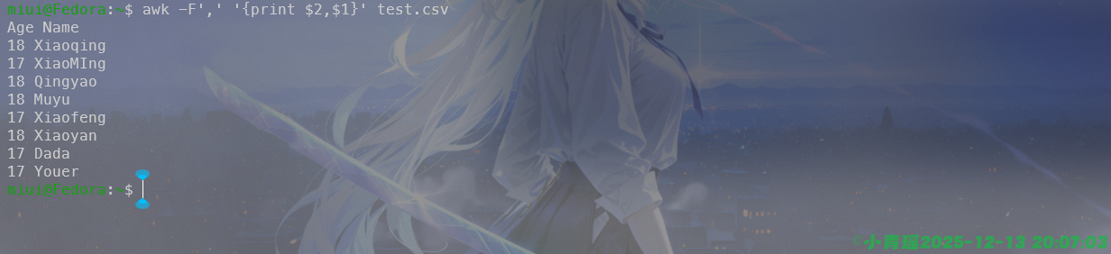 image-20251213200706733