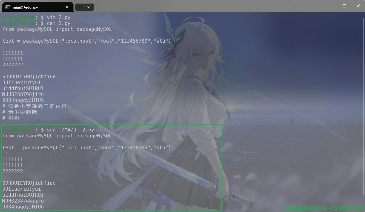 image-20251213203557919