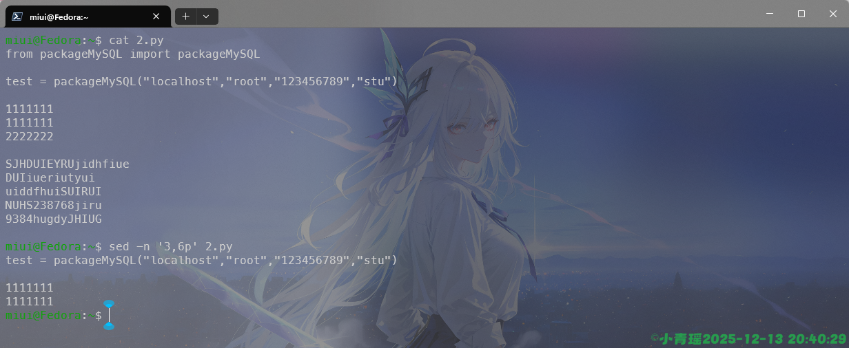 image-20251213204032565