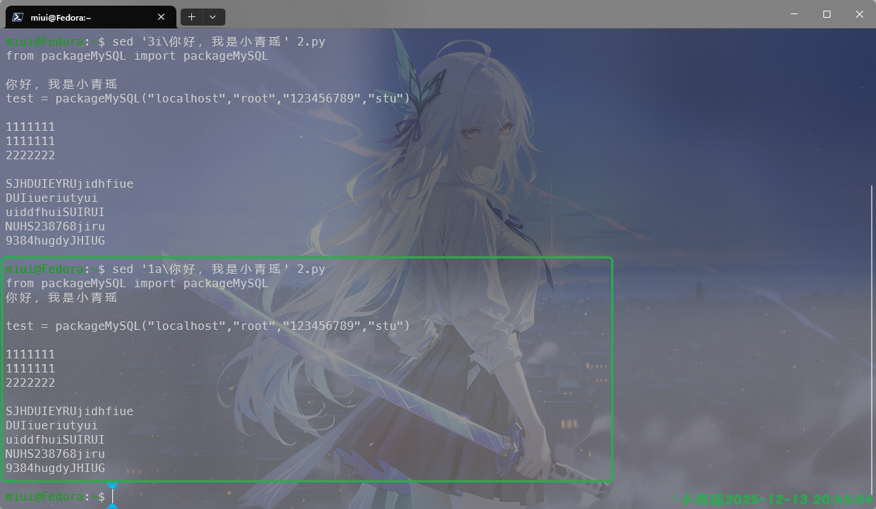 image-20251213204511835