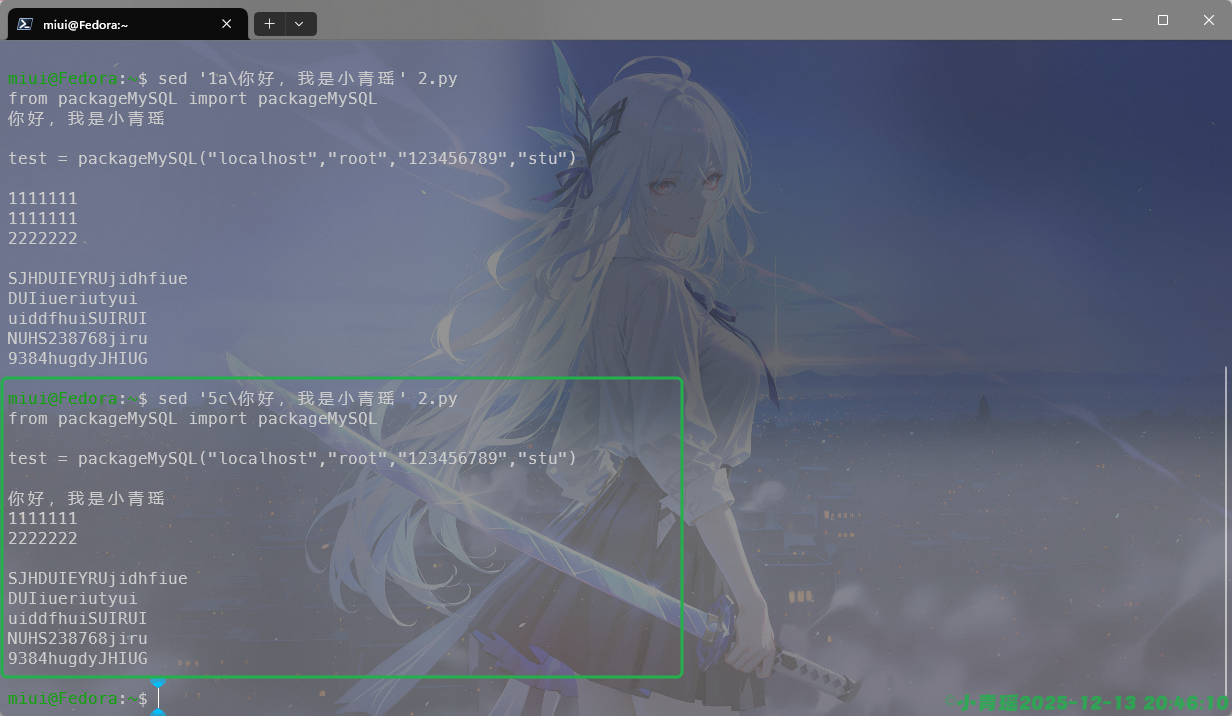 image-20251213204613075