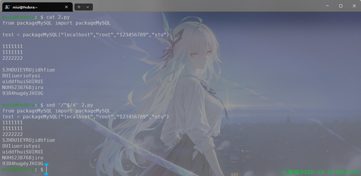 image-20251213204749509