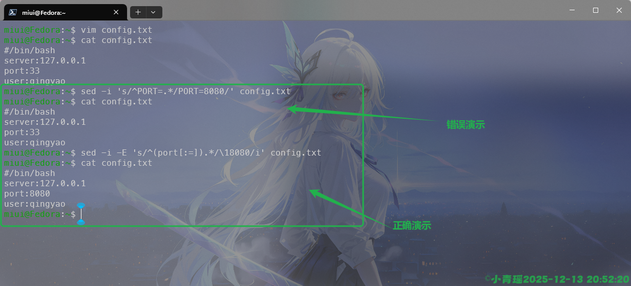 image-20251213205222177