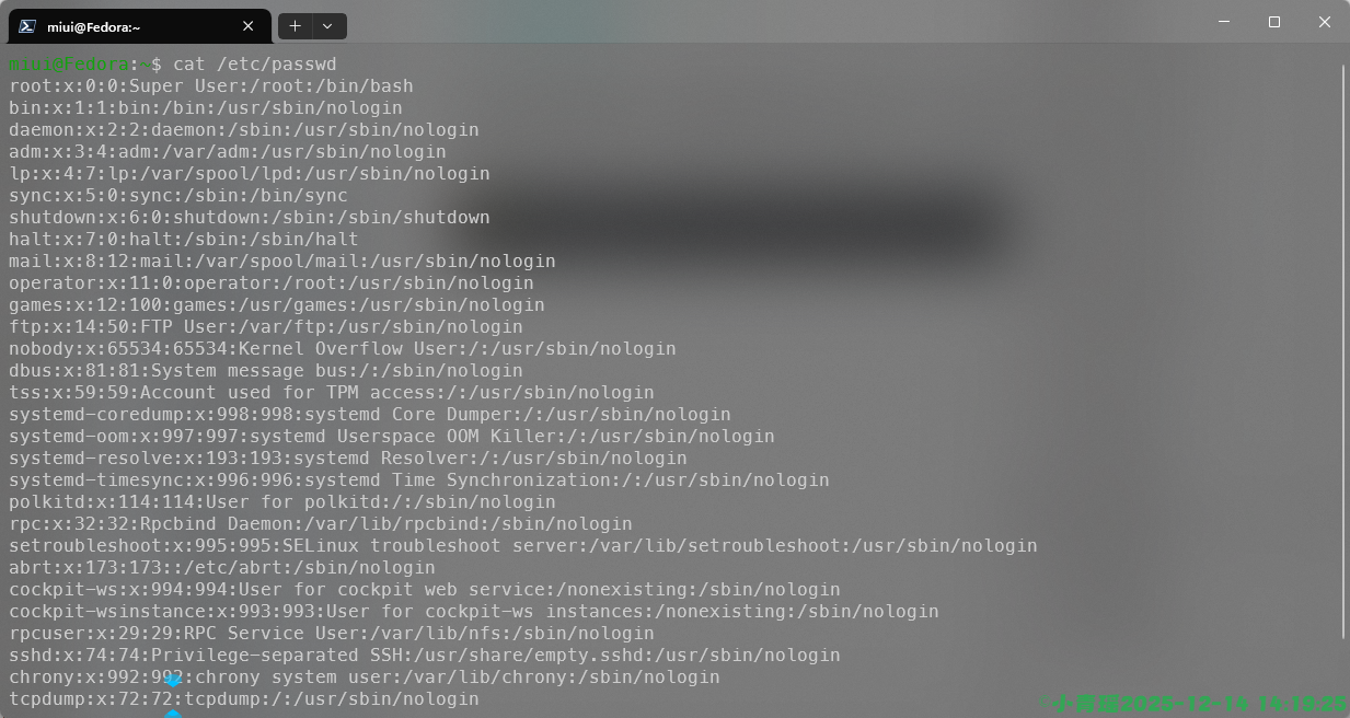 image-20251214141932638