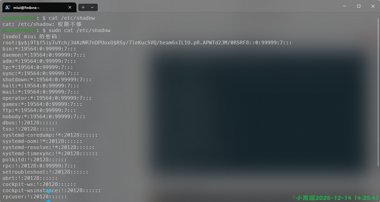 image-20251214142550536