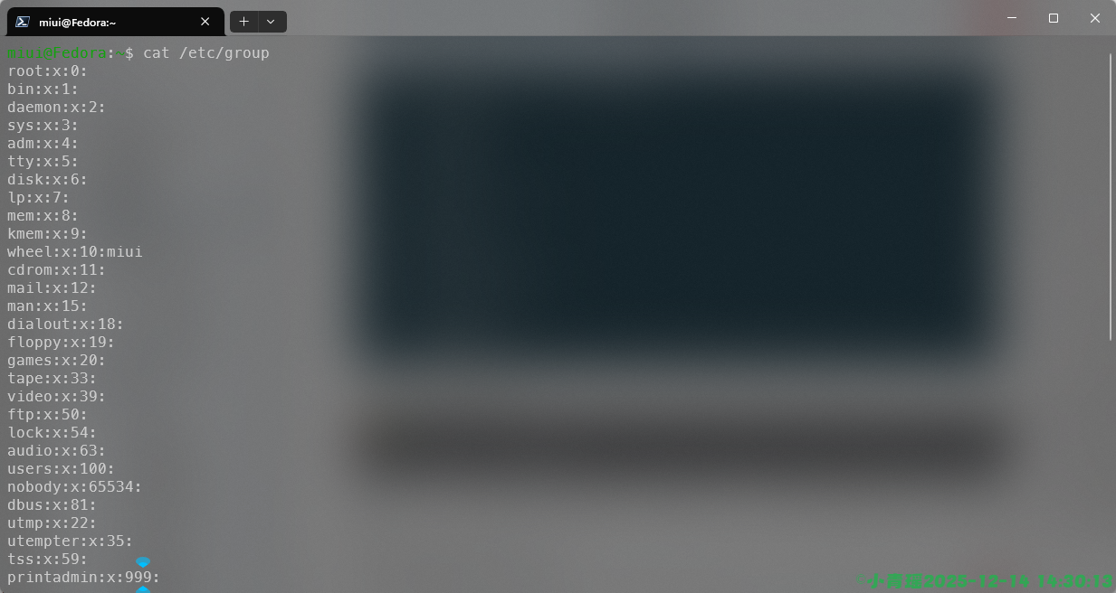 image-20251214143017245