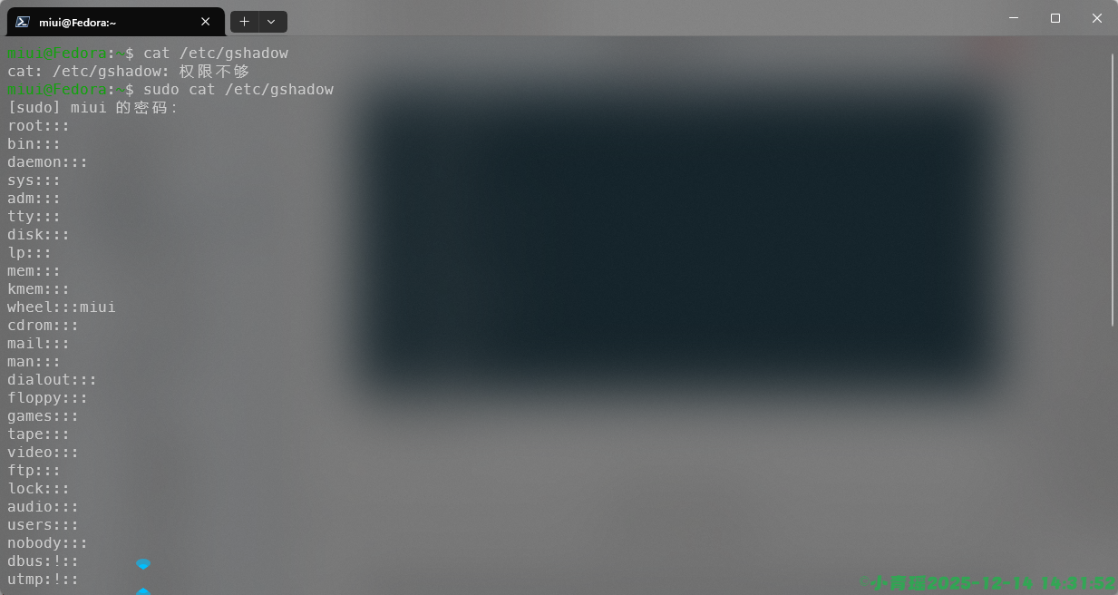 image-20251214143155514