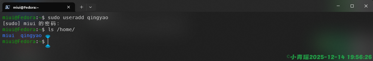 image-20251214195631610