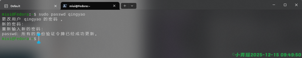 image-20251215094954281