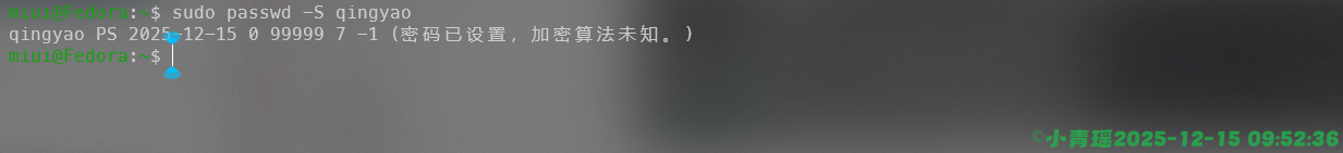 image-20251215095239169