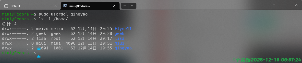 image-20251215095725968