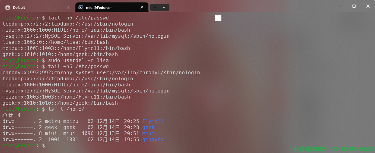 image-20251215095929887