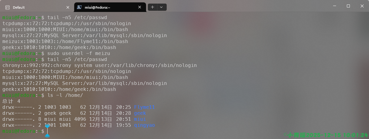 image-20251215100126114