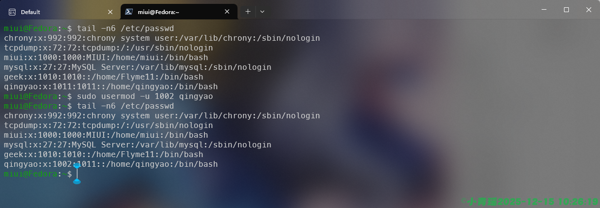 image-20251215102621753