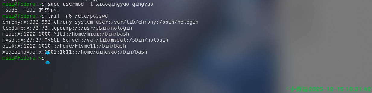 image-20251215103144973