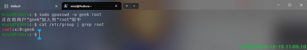 image-20251215110512094