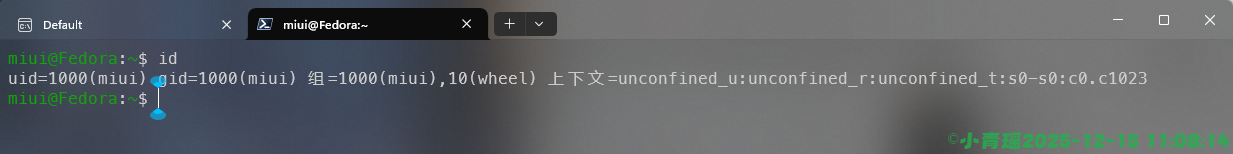 image-20251215110816408