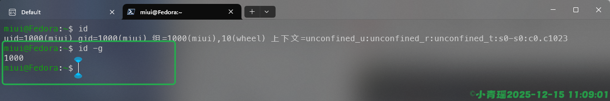 image-20251215110903607