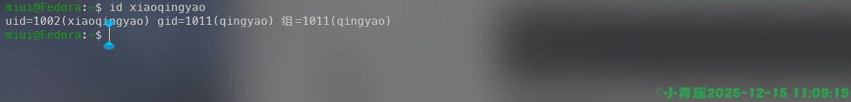 image-20251215110922145