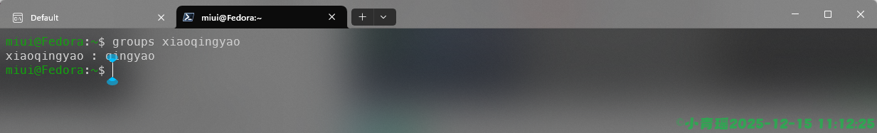 image-20251215111227837