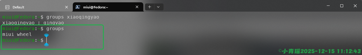 image-20251215111245472