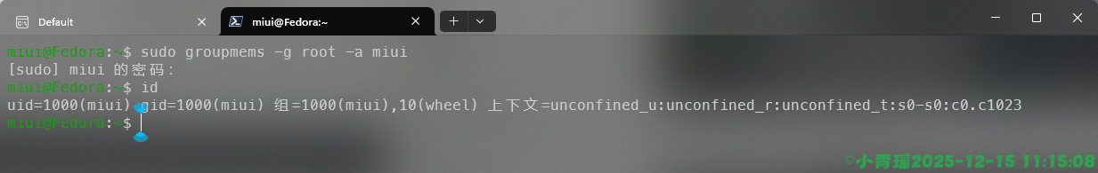 image-20251215111511304